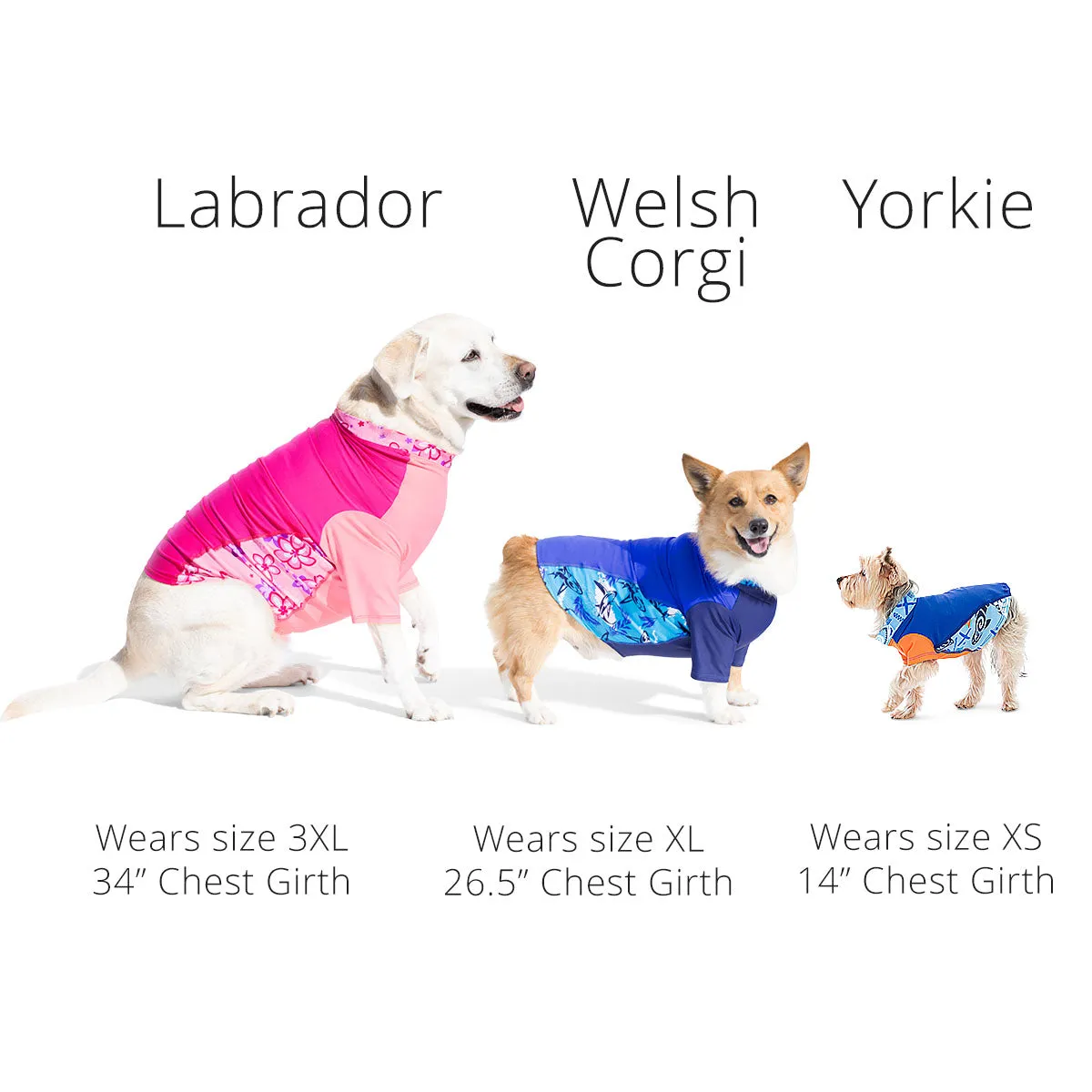 Dog Sun Shirt - Peoni (Made in USA)