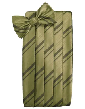 Fern Striped Satin Cummerbund