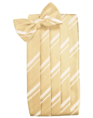 Harvest Maize Kids Striped Satin Cummerbund