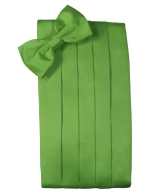 Kelly Luxury Kids Satin Cummerbund