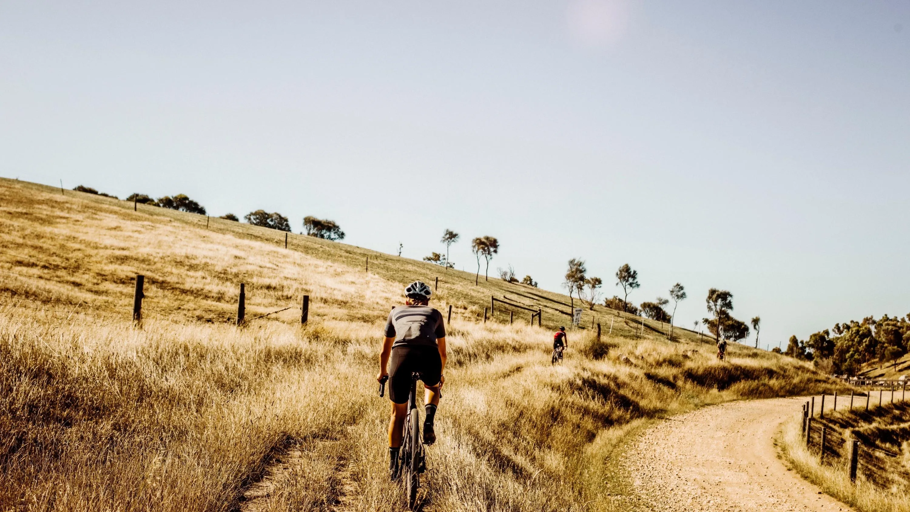 Rapha - Women's Brevet Jersey II