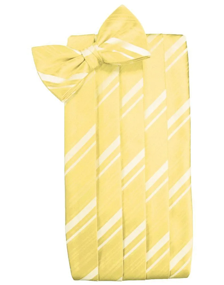 Sunbeam Striped Satin Cummerbund