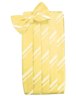 Sunbeam Striped Satin Cummerbund