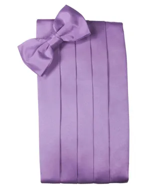 Wisteria Luxury Kids Satin Cummerbund